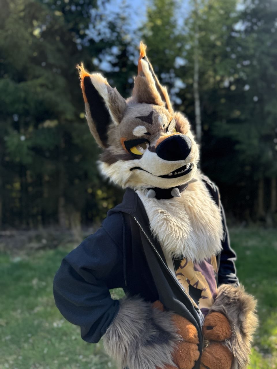 React (Coyote)